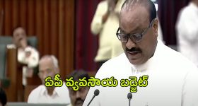 AP Budget 2024-25: రూ.43,402 కోట్లతో వ్యవసాయ బడ్జెట్‌..