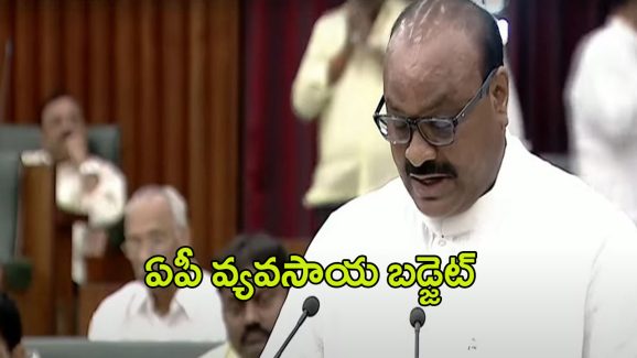AP Budget 2024-25: రూ.43,402 కోట్లతో వ్యవసాయ బడ్జెట్‌..