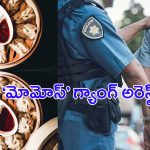 Momos Issue: కల్తీ మోమోస్ తయారు చేసిన.. బీహార్‌ గ్యాంగ్‌ అరెస్ఠ్..!