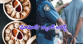 Momos Issue: కల్తీ మోమోస్ తయారు చేసిన.. బీహార్‌ గ్యాంగ్‌ అరెస్ఠ్..!