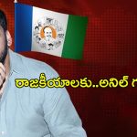 Anil Kumar Yadav: రాజకీయాలకు అనిల్ గుడ్ బై.. కారణం ఇదేనా..?