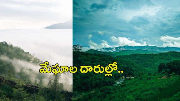 Araku: పచ్చని అడవిలో ప్రకృతి పలకరింత! మేఘాల కొండ అనుభూతులు చెప్పలేనంత!