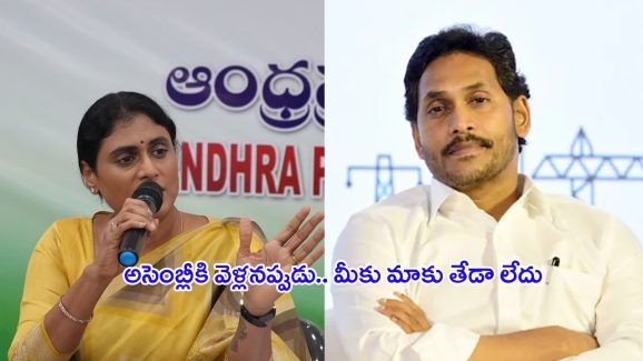 YS Sharmila: దమ్ముంటే అడుగు పెట్టు.. ఆపై మాట్లాడు.. ఇచ్చిపడేసిన షర్మిల