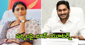 Putin Gift Korea: కిమ్ జాంగ్‌కు సింహాలు, ఎలుగుబంట్లు, పక్షుల భారీ కానుకలు.. పుతిన్‌తో దోస్తీ మామూలుగా ఉండదు
