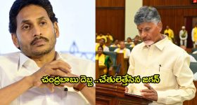 TDP Alliance Govt: ఇబ్బందులు పెట్టినోళ్లకి పోస్టింగ్‌లా.. తెలుగు తమ్ముళ్లు వార్నింగ్