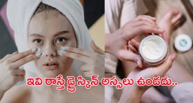 Winter Skin Care Tips: చలికాలంలో చర్మం పొడిబారిపోతుందా? అయితే ఈ ఫేస్ ప్యాక్‌లు ట్రై చేయండి..