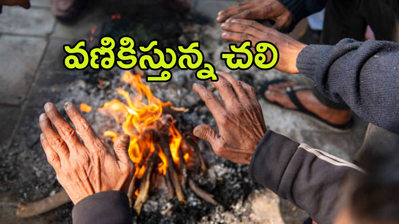 Winter Weather Report: బాబోయ్ ఇదేం చలి.. వణుకుతున్న తెలుగు రాష్ట్రాలు
