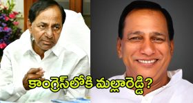 Bigg Boss 8 Telugu : యష్మీ గౌడ 12 వారాలకు ఎంత సంపాదించిందో తెలుసా?