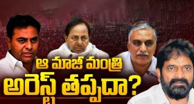Pushpa 2 Movie Promotions : పుష్ప 2 ప్రమోషన్స్ షెడ్యూల్.. సుక్కు ప్లాన్ కు థియేటర్లు చిరిగిపోవాల్సిందే..