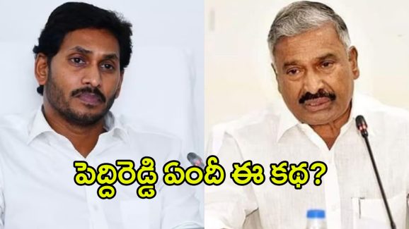 YCP Leaders: పెద్దిరెడ్డి, మిథున్ రెడ్డిపై.. వైసీపీ లీడర్లు తిరుగుబాటు..?