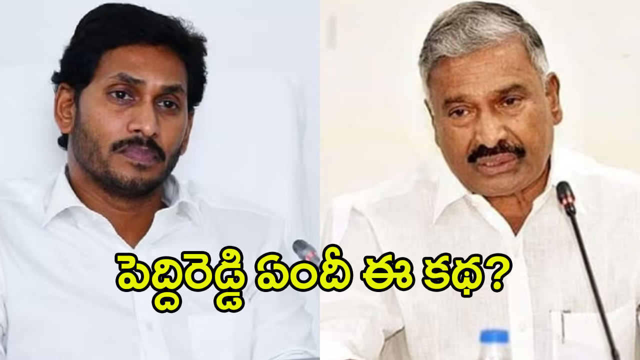YCP Leaders: పెద్దిరెడ్డి, మిథున్ రెడ్డిపై.. వైసీపీ లీడర్లు తిరుగుబాటు..?