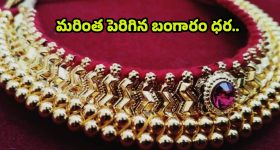 Amaran Movie : శివ కార్తికేయన్ కి అరుదైన గౌరవం.. సర్ప్రైజ్ ఊహించలేదుగా..!