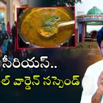 Nagarjuna University: సాంబార్ లో కప్ప.. నాగార్జున యూనివర్సిటీ ఘటనపై లోకేష్ సీరియస్