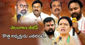 Bigg Boss 8 Telugu Promo: అవినాష్ సీక్రెట్ బయటపెట్టిన నబీల్.. డేంజర్ జోన్‌లో హరితేజ, నయని పావని