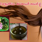 Homemade Hair Oil: అందమైన పొడవాటి జుట్టుకోసం.. ఈ స్పెషల్ హెయిర్ ఆయిల్‌ను ట్రై చేయండి..