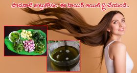 Indian Railways: మన దేశంలో అన్ని రైళ్లు ఉన్నాయా? భోలు ఏనుగు లోగో ప్రత్యేకత ఏమిటీ?