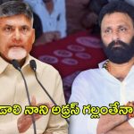 TDP vs Kodali Nani: టీడీపీ స్కెచ్.. గుడివాడలో కొడాలి నాని అడ్రస్ గల్లంతేనా?