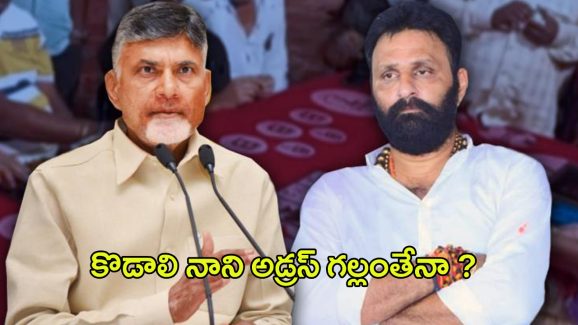 TDP vs Kodali Nani: టీడీపీ స్కెచ్.. గుడివాడలో కొడాలి నాని అడ్రస్ గల్లంతేనా?