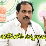 Kurasala Kannababu: జగన్‌కి బిగ్ షాక్.. బీజేపీలోకి కన్నబాబు