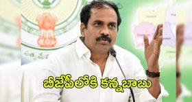 Kurasala Kannababu: జగన్‌కి బిగ్ షాక్.. బీజేపీలోకి కన్నబాబు