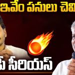 Chevireddy Bhaskar Reddy: ఇవేం పనులు చెవిరెడ్డి పరువు తీస్తున్నావు.. వైసీపీ సీరియస్