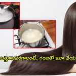 Rice Water For Hair: జుట్టు ఒత్తుగా, పొడవుగా పెరగాలంటే.. రైస్ వాటర్‌తో ఇలా చేయండి..