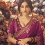 Nabha Natesh: ఇదే నా ఐడెంటిటీ.. చీరలో నభా నటేశ్ స్పెషల్ పోస్ట్