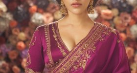 Nabha Natesh: ఇదే నా ఐడెంటిటీ.. చీరలో నభా నటేశ్ స్పెషల్ పోస్ట్