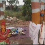 Wanaparthy: రావి చెట్టుకు వేప చెట్టుకు పెళ్లి!