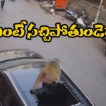 Watch Viral Video: కోతి పడింది.. కారు టాప్ పగిలింది.. సోషల్ మీడియాలో వీడియో వైరల్