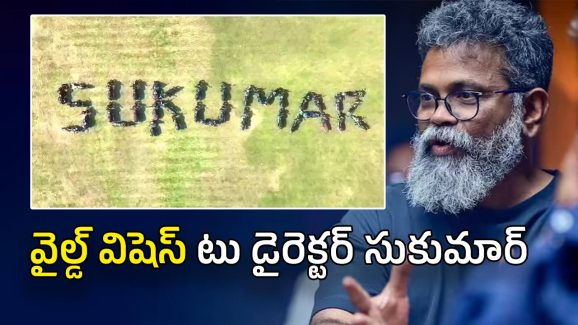 Director Sukumar : డైరెక్టర్ సుకుమార్‌కు వైల్డ్ విషెస్… ఇండియాలోనే ఫస్ట్ టైం ఇది