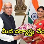 YS Sharmila On Jagan : దమ్ముంటే ఈ ప్రశ్నలకు సమాధానం చెప్పు జగన్.. షర్మిళ సవాళు