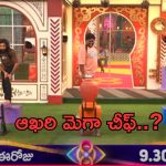 BB Telugu 8 Promo: మరో కొత్త టాస్క్.. ఆఖరి మెగా చీఫ్ ఎవరంటే..?