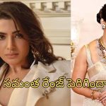 Samantha: నయనతారతో పోటీపడుతున్న సామ్.. నిలదొక్కుకుంటుందా..?