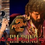 Pushpa 2 item song:ఐటమ్ సాంగ్ కష్టం మామూలుగా లేదుగా.. రోజుకు అరగంటే నిద్ర..!