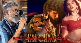 Pushpa 2 item song:ఐటమ్ సాంగ్ కష్టం మామూలుగా లేదుగా.. రోజుకు అరగంటే నిద్ర..!