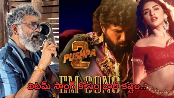 Pushpa 2 item song:ఐటమ్ సాంగ్ కష్టం మామూలుగా లేదుగా.. రోజుకు అరగంటే నిద్ర..!