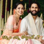 Naga Chaitanya Shobhita: కట్నం కింద ఎన్ని కోట్లు తెస్తోందో తెలుసా..?