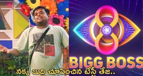 Tiger Attack: కసి మీద పెద్ద పులి.. ఆ ఏరియాల్లో 144 సెక్షన్‌