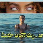 US woman blind : సముద్రంలో స్నానం.. చూపు కోల్పోయిన అమెరికా మహిళ, అసలు ఏమైంది?