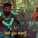 Pushpa 2 Trailer 24 hours: ఆల్ టైం రికార్డ్ సృష్టించిన పుష్ప -2.. ఏ భాషలో ఎన్ని వ్యూస్ అంటే..?