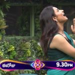 BB Telugu 8 Promo: నామినేషన్ రచ్చ మొదలు.. ఇలాంటి గొడవ ఎక్కడ చూడలేదు భయ్యా..!