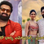 Allu Arjun: కన్నీళ్లు పెట్టుకున్న స్టార్ హీరో భార్య.. సంతోషంలో ప్రభాస్!