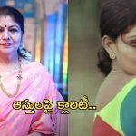 Actress Y Vijaya: రూ. వందల కోట్ల ఆస్తి పై స్పందించిన సీనియర్ నటి..!