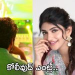 Sree Leela: బంపర్ ఆఫర్ కొట్టేసిన శ్రీ లీల.. సూపర్ హిట్ హీరోతో రొమాన్స్ కి సిద్ధం..!