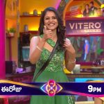 BB Telugu 8 Promo: కంటెస్టెంట్స్ కోసం బరిలోకి దిగిన సెలబ్రిటీస్.. ఆ ఒక్కరి కోసం ఏకంగా స్టార్ డైరెక్టర్..!