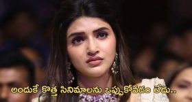 Big Shock To MP Avinash: ఎంపీ అవినాష్ రెడ్డికి షాక్.. ముందస్తు బెయిల్ పిటీషన్ కొట్టివేసిన కోర్టు