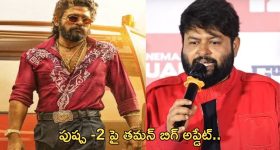 Pushpa 2 - Thaman : నేను పుష్ప2 కి పని చేయడం లేదు... రిలీజ్ ముందు బాంబ్ పేల్చిన తమన్..