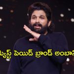 Allu Arjun : హయ్యెస్ట్ పెయిడ్ బ్రాండ్ అంబాసిడర్… పుష్పాగాడి ఫీవర్ ఇట్లుంటది
