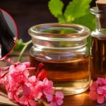 Geranium Oil: జెరేనియం ఆయిల్ ఇలా వాడితే జుట్టు రాలడం తగ్గి, ఒత్తుగా పెరుగుతుంది తెలుసా ?